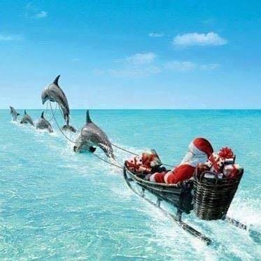 A few captains have reported seeing something out on the horizon …..