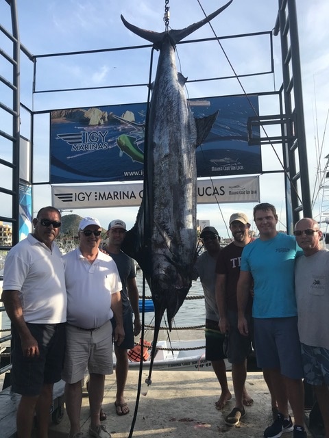 Capt Pancho and his awesome crew made #MARLINMAGIC a-la #CABOMAGIC for these VIP Guests Ben Swann, Donnie Elkins, Jackson Moran and Daniel Sutton visiting from Cookeville, Tennessee and what a way to celebrate with this 652# MARLIN and a nice sized DORADO too