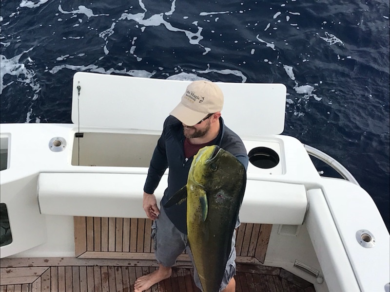 Capt Pancho and his awesome crew made #MARLINMAGIC a-la #CABOMAGIC for these VIP Guests Ben Swann, Donnie Elkins, Jackson Moran and Daniel Sutton visiting from Cookeville, Tennessee and what a way to celebrate with this 652# MARLIN and a nice sized DORADO too