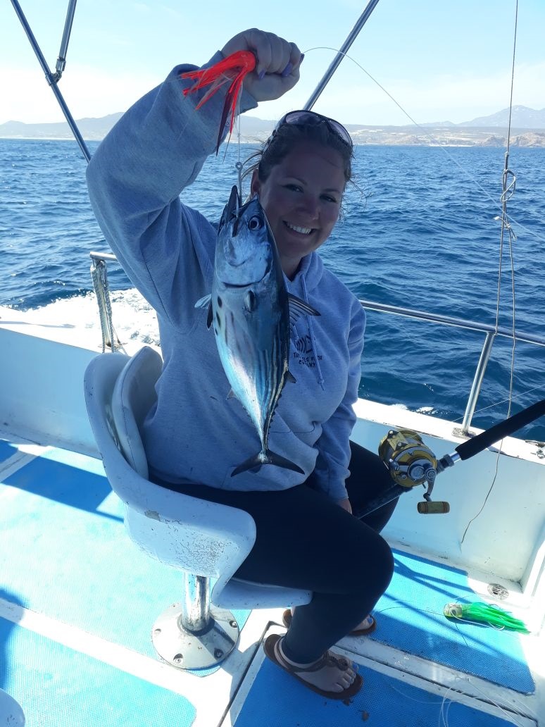 Skipjack locally called Bariellete — and definitely candy for Blue Marlin