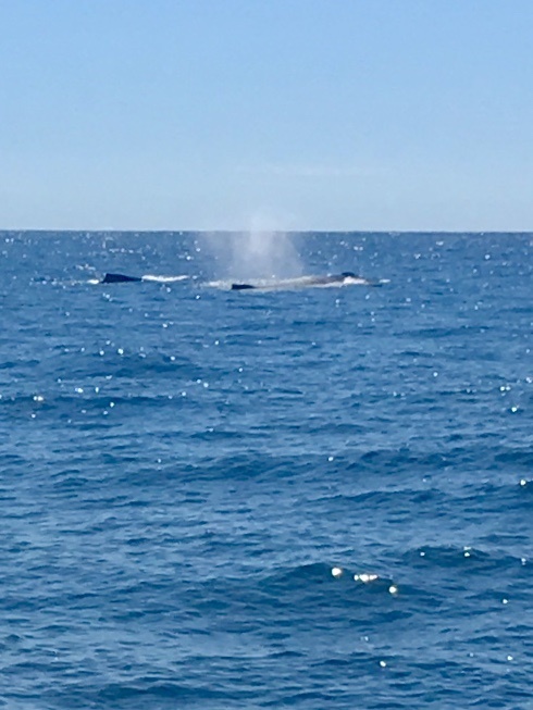 Fishing Date Feb 4 2019