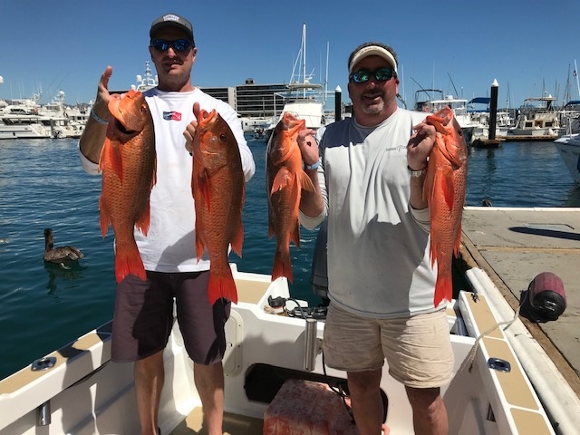 Visiting from Delaware