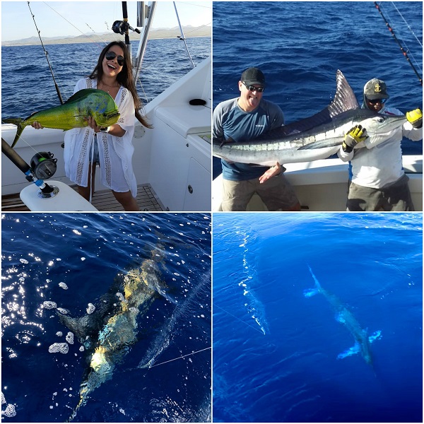 Its Marlin Magic Time with Capt Ivan