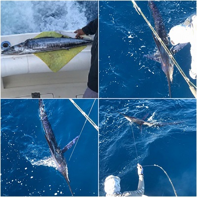 38′ Sportfisher