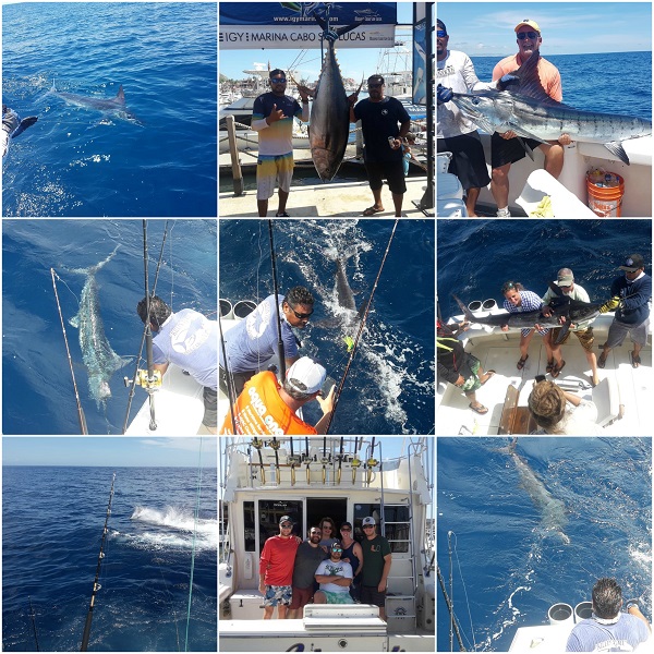 38′ Sportfisher
