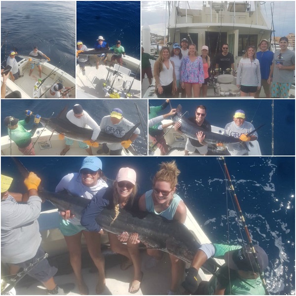 43′ Hatteras