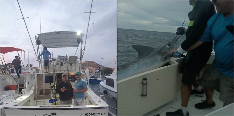 Day One Marlin