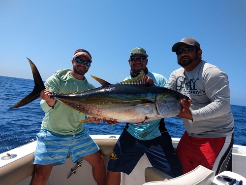 34′ Blackfin￼