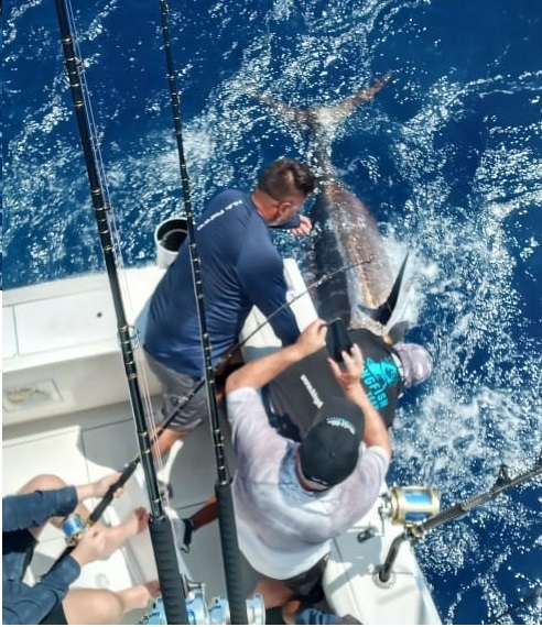 32′ Cabo Express