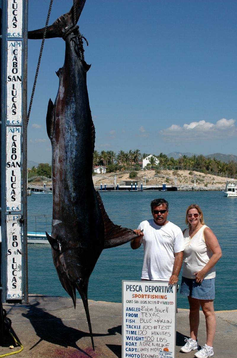 “Robin Jewell lands this 550lb 164” Blue Marlin onboard ADRENALINE on