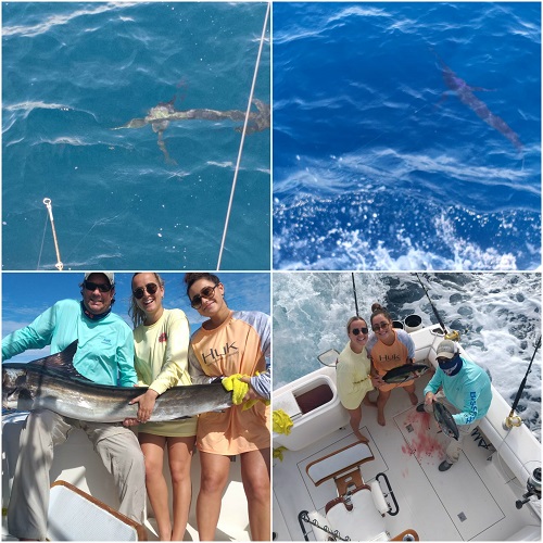 35′ Cabo