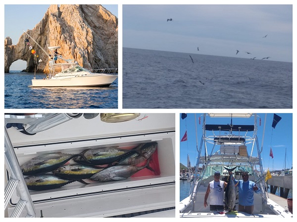 35′ Cabo