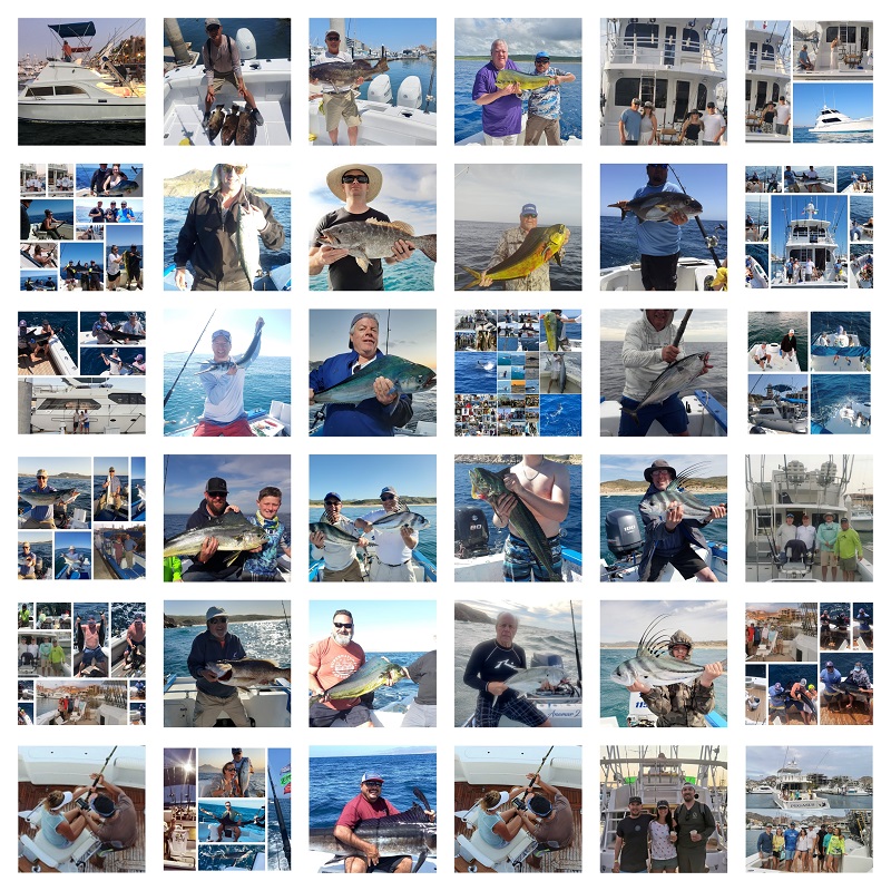 This is some of our June 1-14 Clients results