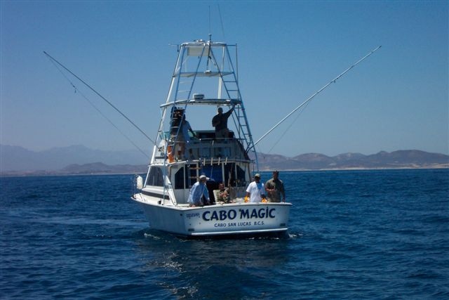 Great guides Thanks David Frick “CABO MAGIC Dos”