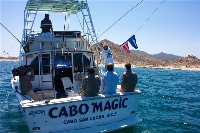 CR&R 2 Striped Marlin