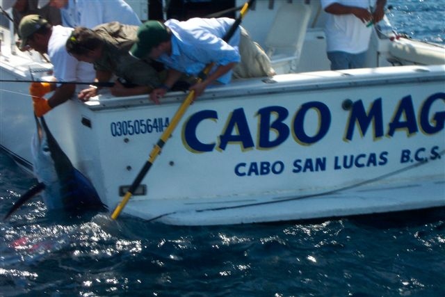 Day two – CR&R 1 Striped Marlin – In Association with Outdoor Life Network, Orion Multimedia and the Theodore Roosevelt Conservation Partnership -Special Guests NYC Firefighter Rocky Raimondi and his Dad Joe Raimondi, Show Host Marc Pierce, Field Producer Nathan Charlan, Cameraman Dennis Nadalin