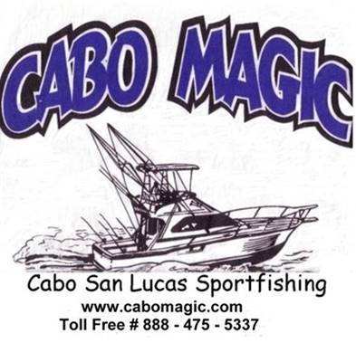 We are having technical issues with this site .. This is our ORIGINAL website, built from scratch, years before google —- and does not have google technology built in.