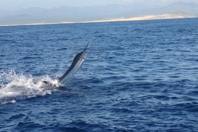 Return VIP Guests Mark & Carrie Streahle of Delanco, New Jersey fishing aboard 