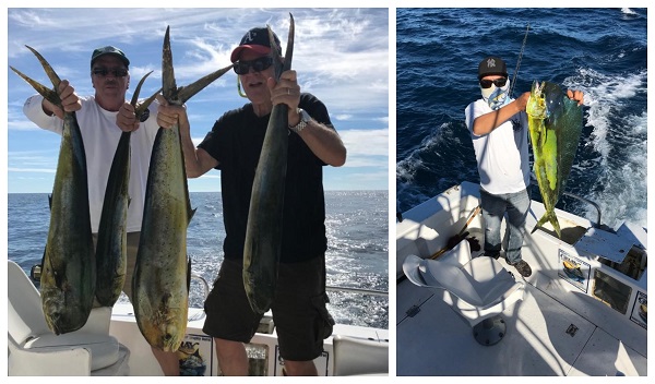 DORADO for EVERYONE
