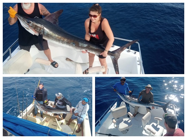 Marlin Marlin Marlin