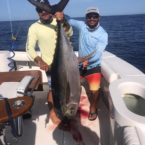 THIS is what you can call a nice Yellowfin Tuna LOL