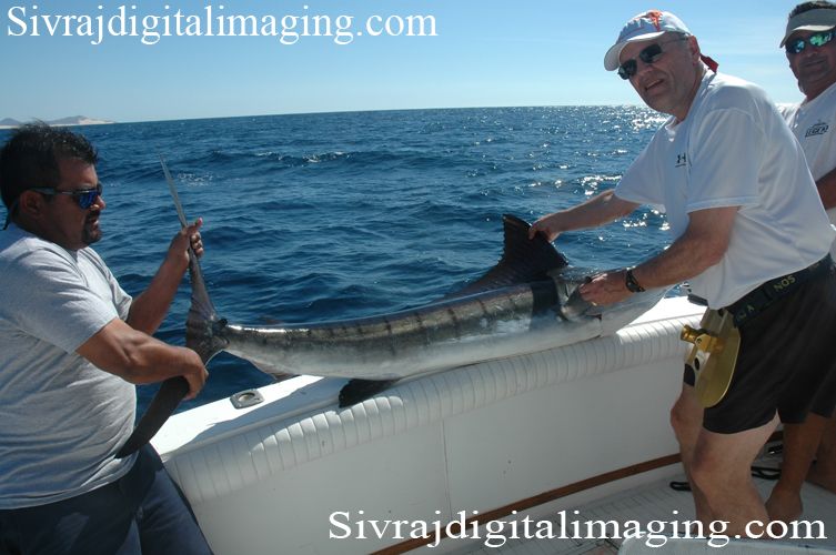 Cabo Magic is by far the best experience on the Water In Cabo San Lucas. You can expect a magical time for sure
