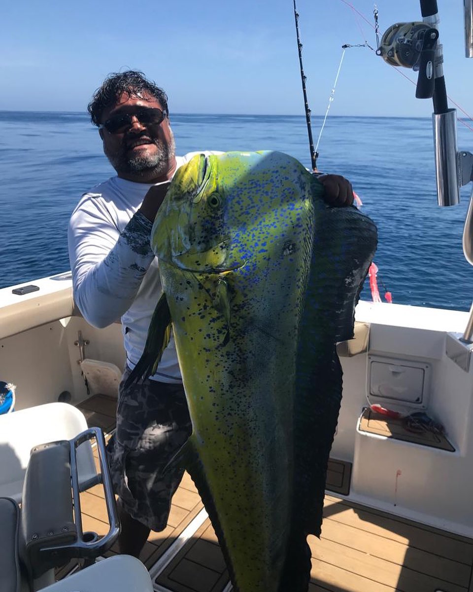 Say it! BIG DORADO 