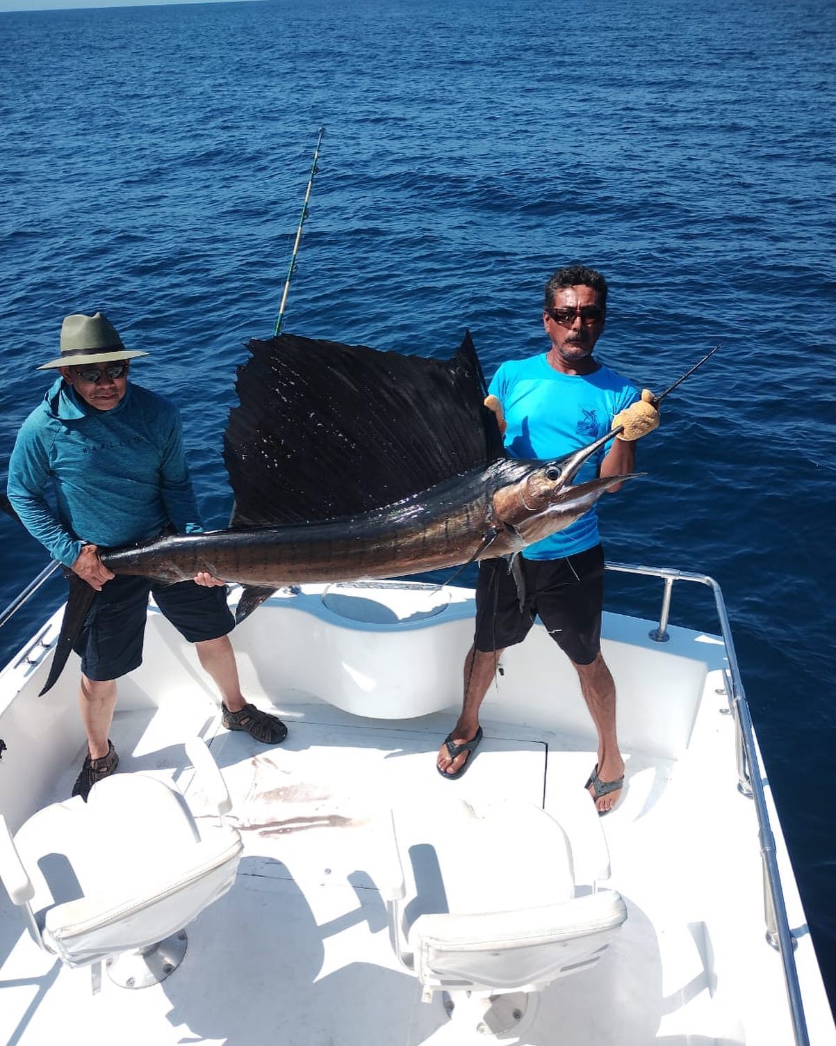 9/13/2022 Pacific Sailfish!!!!!!#pezvela #catchandrelease￼28′ Cruiser